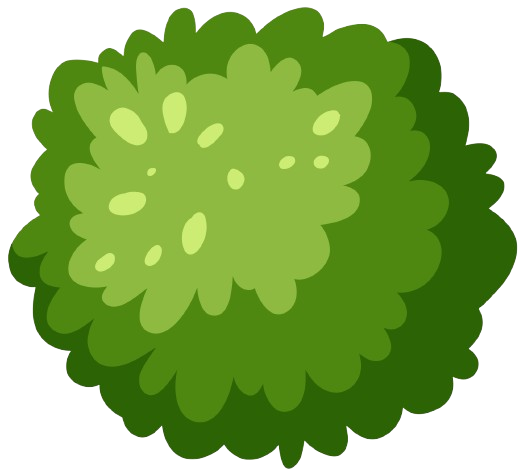 Decorative Bush